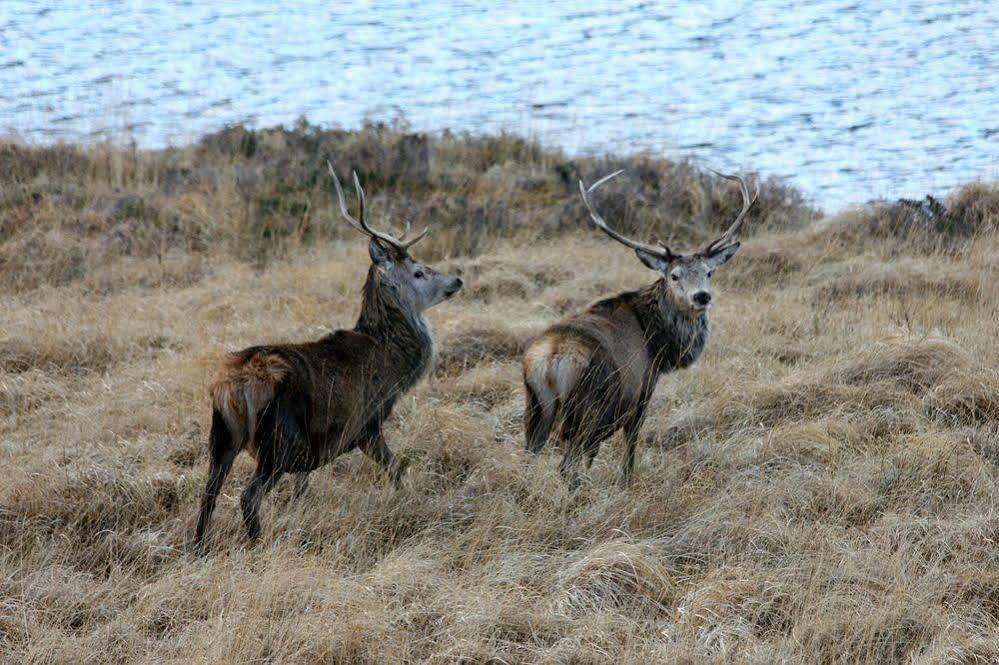 Oak Lodge Bed And Breakfast Overscaig Bagian luar foto